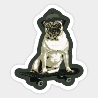 Poser Deck Pug, Skateboard Pug, Beanie Pug Sticker